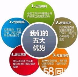五大企業服務優勢助力創業者快速落地 免費注冊、代理記賬與稅務規劃全解析